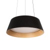 10224P Black Подвесной светильник LOFT IT Evans