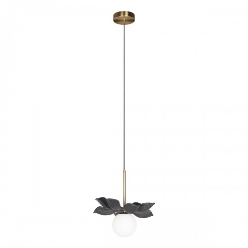 10213/B Black Подвесной светильник LOFT IT Monro