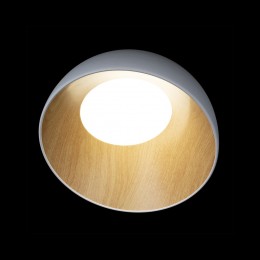 10197/350 White Потолочный светильник LOFT IT Egg