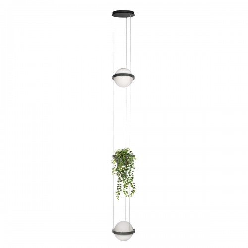 10121/2P Dark grey Подвесной светильник LOFT IT Jardin