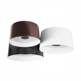 10360/3 Потолочный светильник LOFT IT Duo