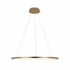 10014L Подвесной светильник LOFT IT Ring