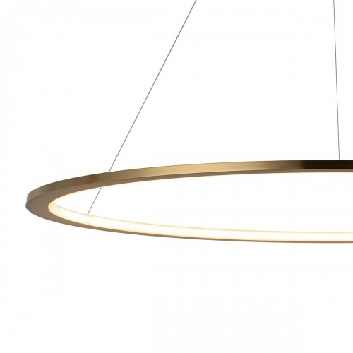 10014L Подвесной светильник LOFT IT Ring