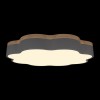 10225/36 Grey Потолочный светильник LOFT IT Axel