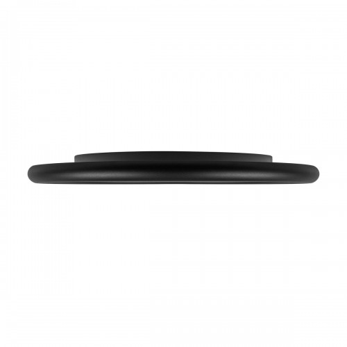 10454/500 Black  Потолочный светильник  LOFT IT Sweety