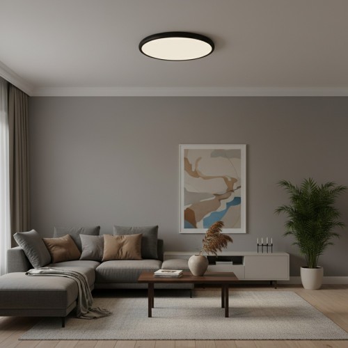 10454/500 Black  Потолочный светильник  LOFT IT Sweety