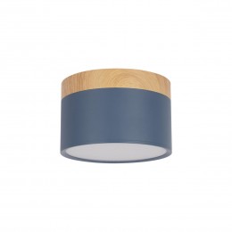 10162 Blue Накладной светильник LOFT IT Grape