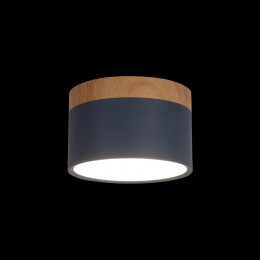 10162 Blue Накладной светильник LOFT IT Grape