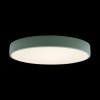 10002/24 Green Потолочный светильник LOFT IT Axel