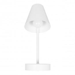 10216/1W White Настенный светильник LOFT IT Shelf
