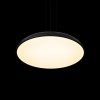 10371P Black Подвесной светильник LOFT IT Dime