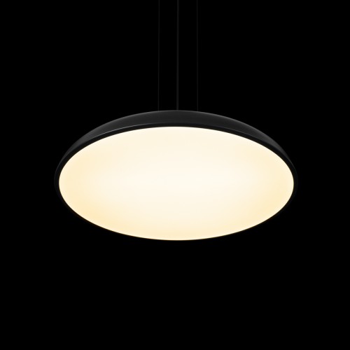 10371P Black Подвесной светильник LOFT IT Dime