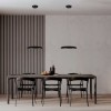 10371P Black Подвесной светильник LOFT IT Dime