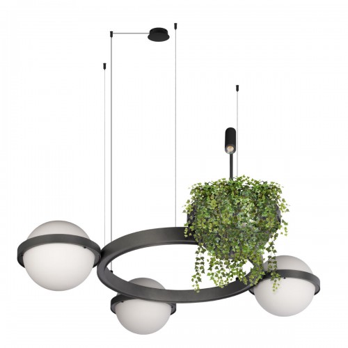 10121/3 Dark grey Подвесной светильник LOFT IT Jardin