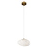 10531C Подвесной светильник LOFT IT Fionora