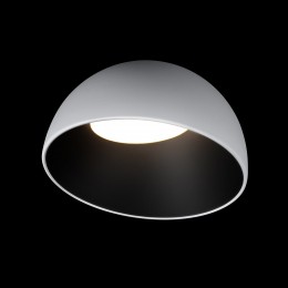 10197/350 WB  Потолочный светильник  LOFT IT Egg