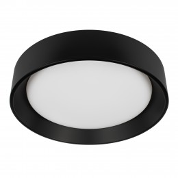 10202 BB  Потолочный светильник  LOFT IT Coin