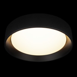 10202 BB  Потолочный светильник  LOFT IT Coin