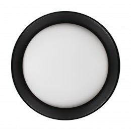 10202 BB  Потолочный светильник  LOFT IT Coin