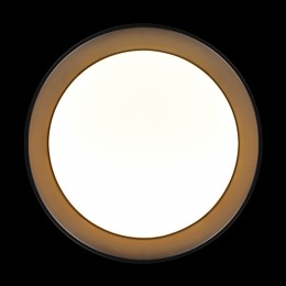 10202 BB  Потолочный светильник  LOFT IT Coin