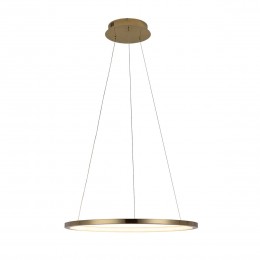 10014M Подвесной светильник LOFT IT Ring