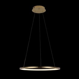 10014M Подвесной светильник LOFT IT Ring