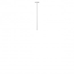 10359/500 White Потолочный светильник LOFT IT Cane