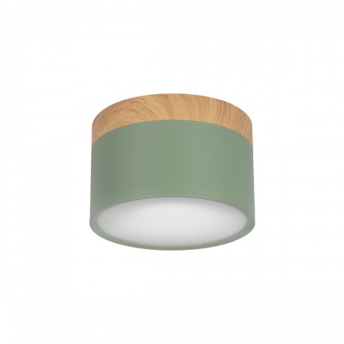 10162 Green Накладной светильник LOFT IT Grape