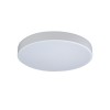 10002/24 White Потолочный светильник LOFT IT Axel