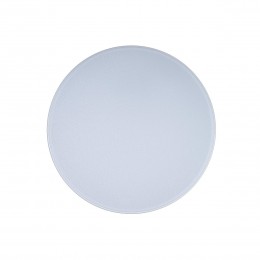 10002/24 White Потолочный светильник LOFT IT Axel