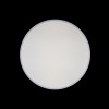 10002/24 White Потолочный светильник LOFT IT Axel