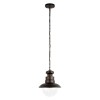 100022P Уличный подвесной светильник LOFT IT Piemonte