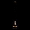 100022P Уличный подвесной светильник LOFT IT Piemonte