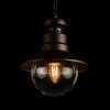 100022P Уличный подвесной светильник LOFT IT Piemonte