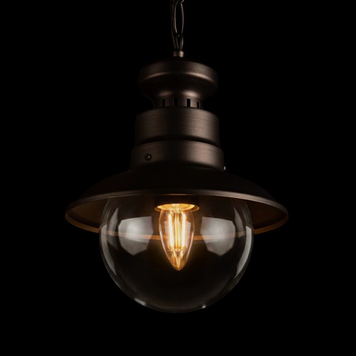 100022P Уличный подвесной светильник LOFT IT Piemonte