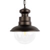 100022P Уличный подвесной светильник LOFT IT Piemonte