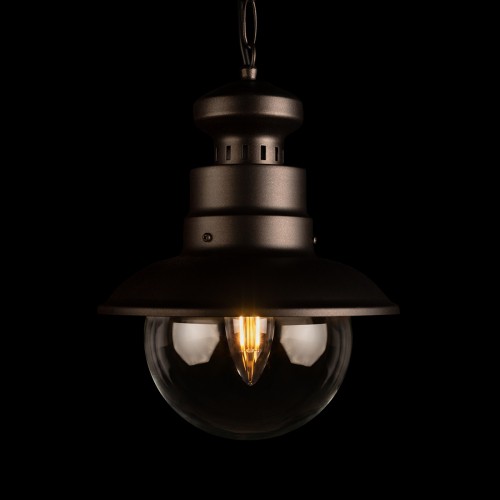 100022P Уличный подвесной светильник LOFT IT Piemonte