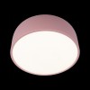 10201/350 Pink Потолочный светильник LOFT IT Axel