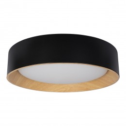 10202 Black Потолочный светильник LOFT IT Coin