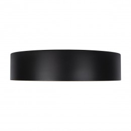 10202 Black Потолочный светильник LOFT IT Coin