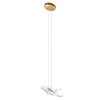 10378P Подвесной светильник LOFT IT Voa
