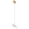 10378P Подвесной светильник LOFT IT Voa