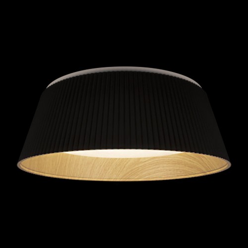 10224 Black Потолочный светильник LOFT IT Evans