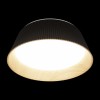 10224 Black Потолочный светильник LOFT IT Evans