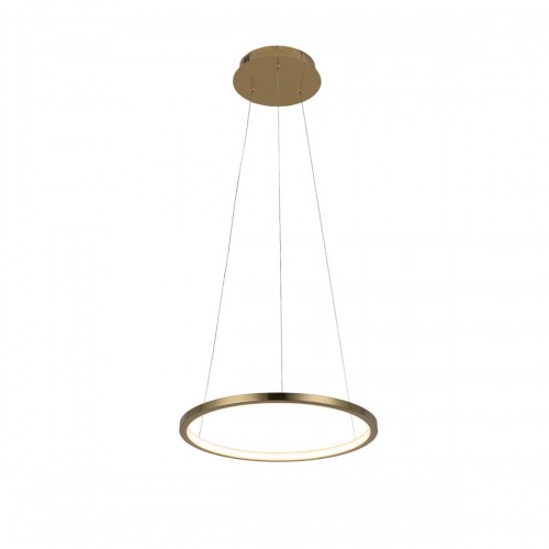 10014S Подвесной светильник LOFT IT Ring