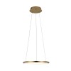 10014S Подвесной светильник LOFT IT Ring