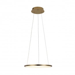 10014S Подвесной светильник LOFT IT Ring