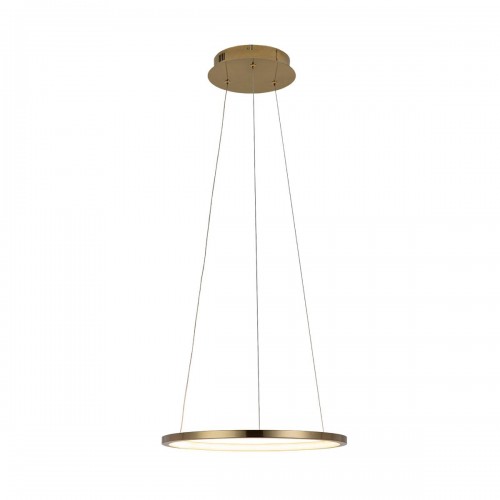 10014S Подвесной светильник LOFT IT Ring