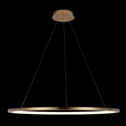 10014XL Подвесной светильник LOFT IT Ring