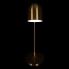 10144 Gold Настольная лампа LOFT IT Tango